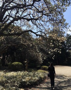Mistress Jadis Tokyo Gardens